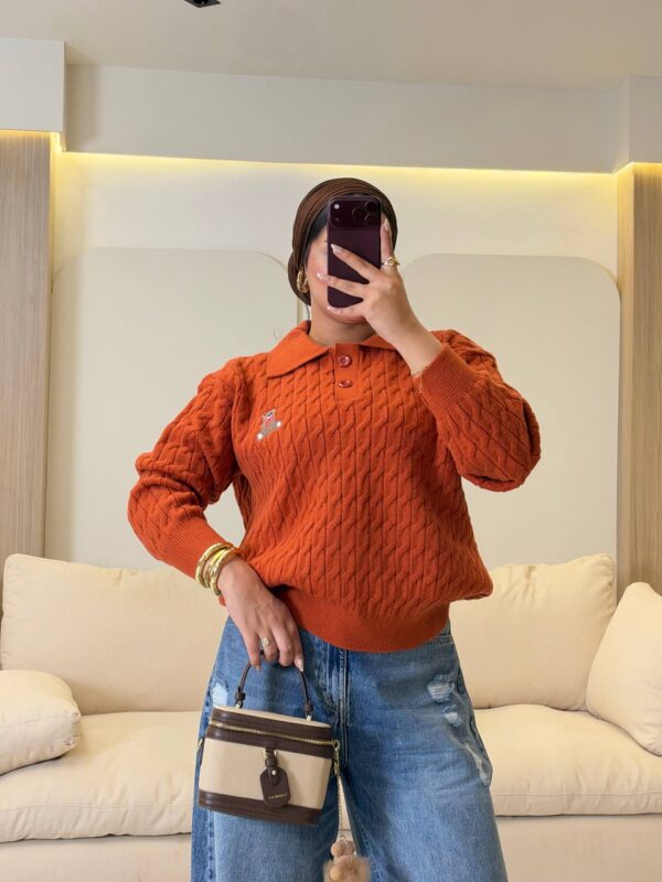 بلوفر Bear Embroidered Polo Knitted Pullover