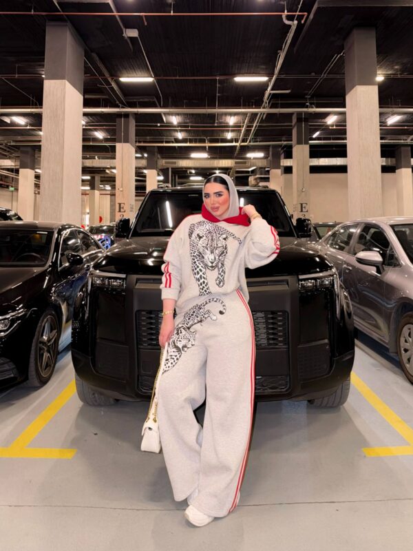 سوت Leopard Graphic Oversized Hoodie & Wide-Leg Sweatpants Set